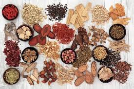 Damp Food Vs Dry Food According To Traditional Chinese Medicine