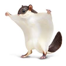 Flying Squirrel Flying Squirrel Squirrel Wild Animal Toys