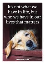 It S Not What We Have In Life But Who We Have In Our Lives That Matters Dog Quotes Dog Life Dog Love