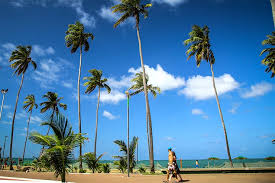 Image result for maceio