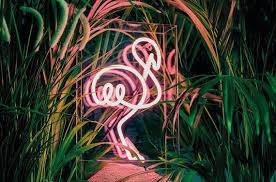 Pink Flamingo Neon Sign Freestanding Neon Light Flamingo Freestanding Light Neon Pink Sign Neon Signs Neon Lighting Neon Jungle