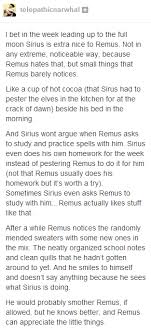 Sirius And Remus The Marauders Harry Potter Universal Harry Potter Marauders Harry Potter Obsession