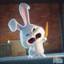 Secret life of pets bunny. Sedat Aciklar T S L O P Snowball