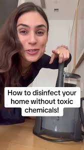 How to disinfect your home without chemicals! @Laurastar US #IZZIPLUS  #hometips #homehacks #fyp #laurastar #disinfectant
