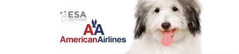 American airlines pet cargo policy states that if you find your pet too big to fit under the seat, the flight is long hauled, or your animal is not a cat or dog then you can choose for the cargo pet shipping option with american airlines. American Airlines Emotional Support Animal Policy Esa Doctors