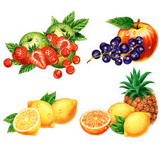 Realistic hand drawing made with colored pencils. Fruit Illustrations Illustrations Of Fruit For Packaging Realistic Fruit Drawings Illustrations For Packaging