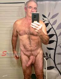 silvermendating 6691 – The HaPenis Project