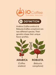 Image result for Coffea canephora