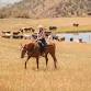 V6 Cattle Drive — V6 Ranch - Authentic California event image