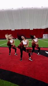 Arizona Cardinals Cheerleaders (@azcardscheer) - Instagram