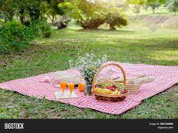 Made from thick sections of timber and put together with coach bolts and screws. Hat Flower Picnic Image Photo Free Trial Bigstock