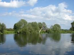 In general, a newly planted weeping willow requires 10 gallons of water applied two to three times weekly for each inch of the trunk's diameter. Novel Ways With Willow In Flood Management Forestry Journal