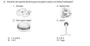 Manakah Dari Gambar Berikut Yang Merupakan Satuan Unit Terkecil Kehidupan Brainly Co Id