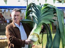 Il est âgé de 35 ans et est en bonne santé. Les 10 Plus Gros Fruits Et Legumes Du Monde