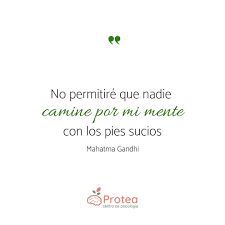 Pin En Protea Post