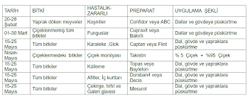 Tüm dikim yapılan toprağın etrafına bir sulama kovası ile bolca su verilerek sulanma işlemi bitirilir.bundan sonra ise fidan, 8 işareti gibi duran bir meyva ağaçlarının yapmak dökümü geçtikten sonra ocak ayına doğru bir düzenleme ve gençleştirme budaması yapılmalıdır. Fidan Dikim Ve Bakimi