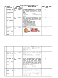 Pembentukan gamet pada tumbuhan berbiji terjadi dengan pembelahan mitosis sebab pembelahan mitosis menghasilkan dua anak yang tidak identik dengan induknya. Kisi Kisi Soal Ulangan Pembelahan Sel
