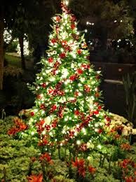 Longwood Gardens Christmas Lights Are Just Breathtaking Beautiful Longwood Gardens Christmas Longwood Gardens Christmas Magic