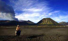 Kamu bisa menikmati pemandangan sekitar dari ketinggian. Gunung Bromo