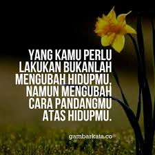 Gambar Kata Kata Bijak Motivasi Move On Dari Putus Cinta Cara Pandang Bijak Motivasi Kata Kata Indah