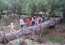 / también se denomina así al lugar físico donde se realiza esta actividad. Campamentos Recreativos Afmedios Agencia De Noticias