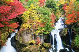 360度全景，舉目四望皆楓紅！10月必訪的日本賞楓景點排名！｜絕景日本