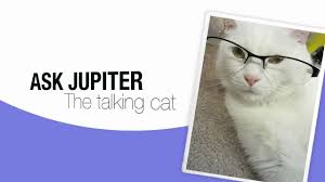 Pin On Funny