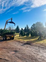 The sign is up, trees are out, and wreaths are hung! We are ready for the  2024 season🎄 Come get your tree or wreaths anyday from now until  Christmas! We're here 7
