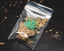 The Latest On The Legality Of Cbd Flower In The Uk