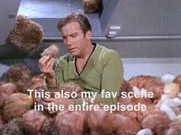 So grab yourself a tribble and then you're good to go if you've got enough? My Favourite Scene From Trouble With Tribbles Star Trek Youtube