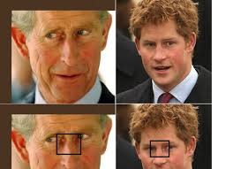 Harry was born in september 1984, which harry's granddad prince phillip also had the same ginger features: Who Fathered Prince Harry