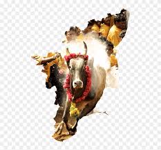 Tamilnadu Tamil Culture South Jallikattu Kalai Image Png Transparent Png 1280x720 211865 Pngfind .web player settings amazon music unlimited amazon music hd prime music free streaming music buy music open web player settings. jallikattu kalai image png transparent