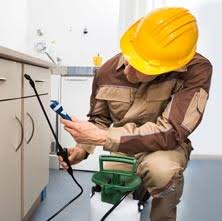 Uses most advanced camera to find insects hidden. Top 10 Pest Control Services In Noida Thepackersmovers
