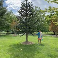 Fernandina beach, fl united states • 5477 miles. Moyers Lawn Service And Landscaping 34 Photos 19 Reviews Gardeners 401 Southlawn Ln Rockville Md Phone Number