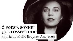 Resultado de imagem para sophia de mello breyner andresen