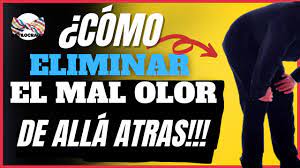 Como Quitar El Mal Olor En El Trasero 5 Datos Basicos Youtube