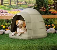 The Petmate Igloo Dog House Pros Cons And How To Choose