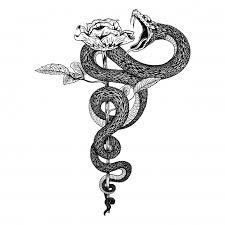 Snake Drawing Ricerca Google Inspirational Tattoos Snake Tattoo Design Hand Tattoos