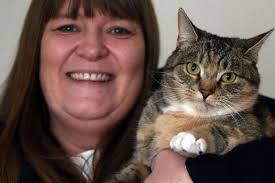 Recovery of lung cancer in cats. Hero Cat Saved Owner S Life Twice After Odd Behaviour Led To Breast Cancer Diagnosis Daily Record