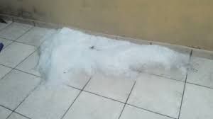 May 30, 2021 · uma chuva de granizo foi registrada no bairro recanto quarto centenário, em jundiaí, no interior de são paulo, na tarde deste domingo (30). Impressionante Tempestade De Granizo Cai Sobre Interior De Sp Climatempo