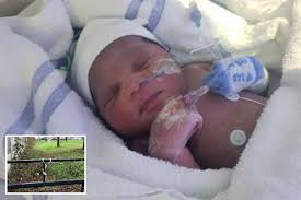 Mystery of newborn baby Roman found dumped in Sainsbury's plastic bag after  being abandoned in 1C London park