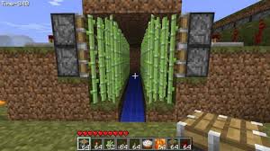 In this video, i show you how to build an automatic and afkable cactus farm in hypixel skyblock that allows you skyblock! List Of Automatic Farms Tutorial Links Survival Mode Minecraft Java Edition Minecraft Forum Minecraft Forum