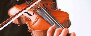 Image result for violin
