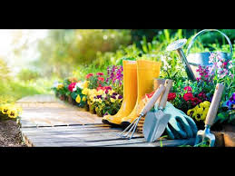 When we said we offer planters and pots in a wide variety of materials, we weren't kidding. Plastic Pots For Plants Wholesale Near Me Plastic Flower Pots Near Me Video Youtube