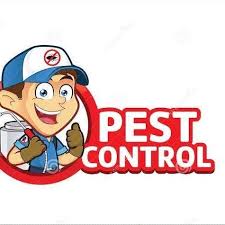 Removal and control of insects & rodents. Updated D D Pest Control A Top Pest Control Company In Palmerston North Offers Professional And Affordable Bed B Pest Control Pests Bed Bug Extermination