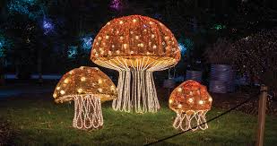 Winter Lights Sets NC Arboretum Aglow Starting November 15