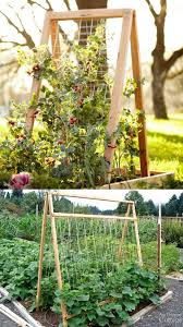 Also, ideal for use in raised garden beds and container gardening. 24 Easy Diy Garden Trellis Ideas Plant Structures A Piece Of Rainbow