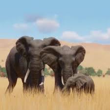 The list of african animals is very long and in this animalsake article i have tried to cover as many animals possible. Category Animals By Continent Planet Zoo Wiki Fandom