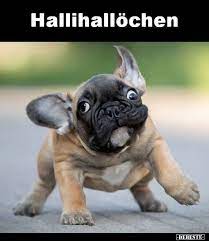 hallihallochen in 2020 bulldog funny funny christmas sweaters dog mom gifts