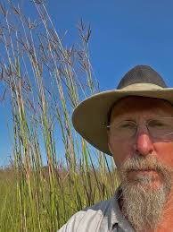 Big bluestem booming in 8th growth season
